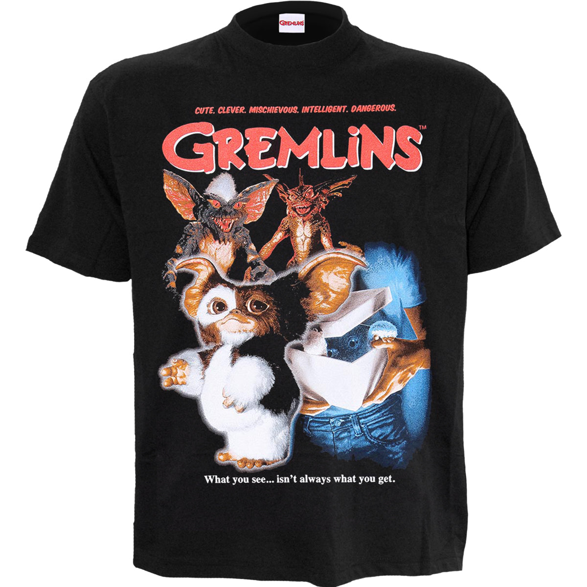 GREMLINS - STRIPE - Front Print T-Shirt Black