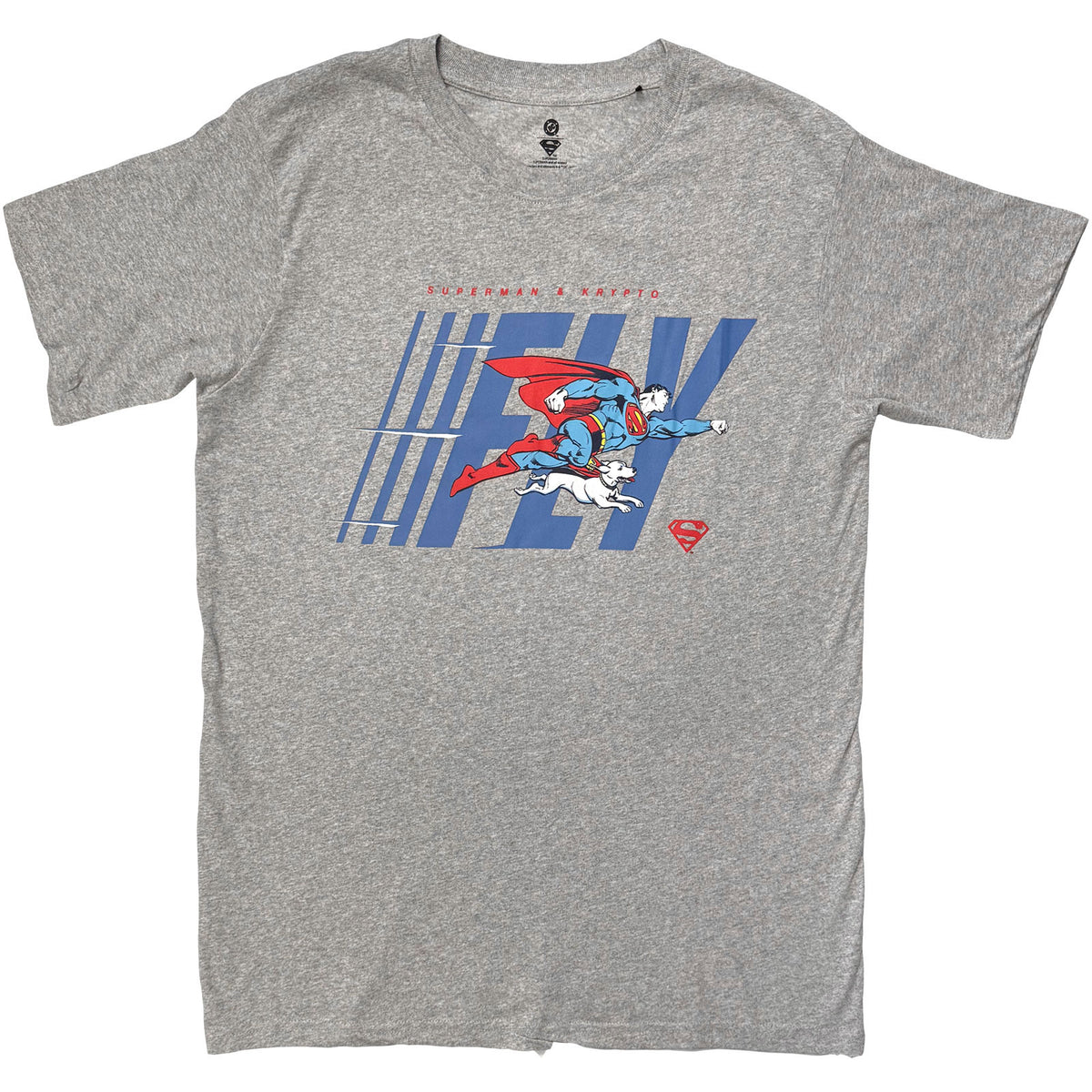 DC COMICS - FLY - T-Shirt Grey